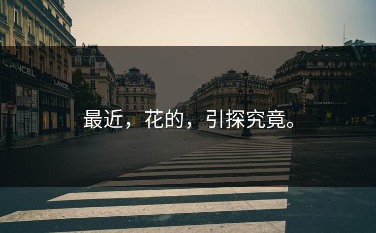 最近，花的，引探究竟。